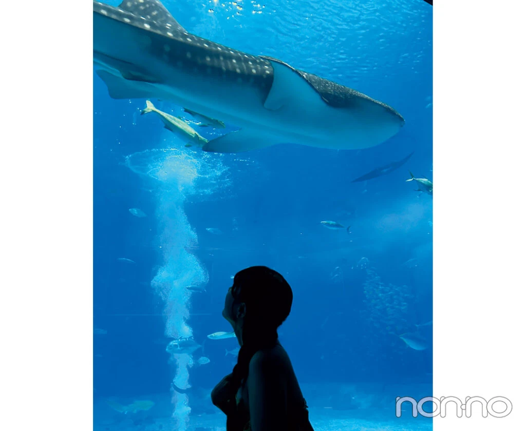 大学生の春旅行-沖縄美ら海水族館での写真