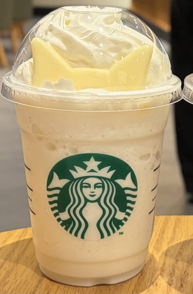 スタバ猫耳白猫
