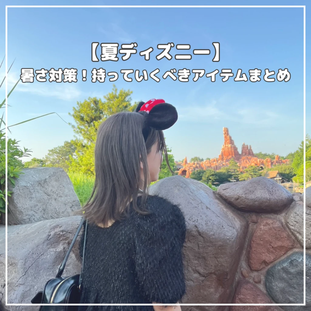 夏ディズニー持ち物