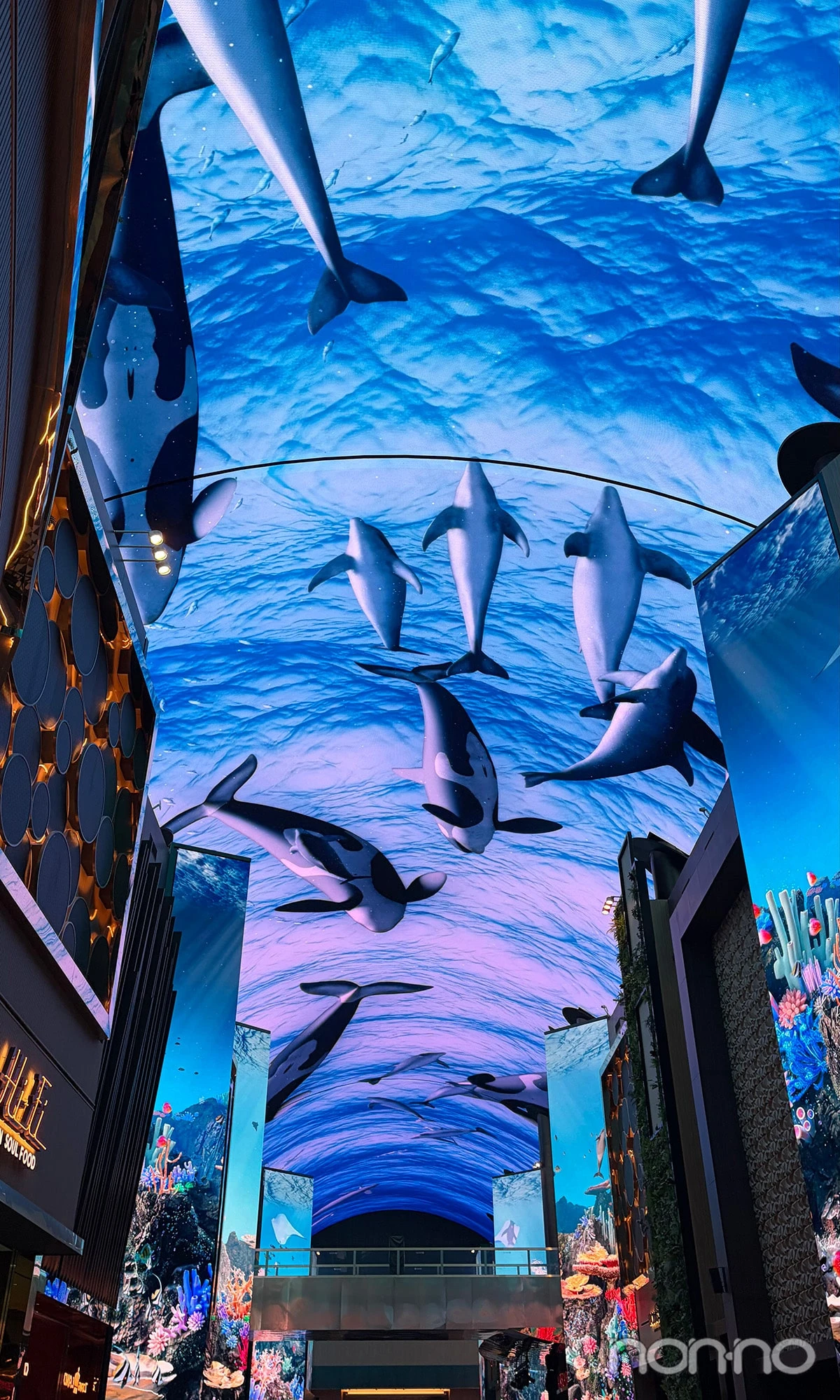 インスパイア・エンターテインメント・リゾートのオーロラで撮影した魚が泳ぐ巨大アート