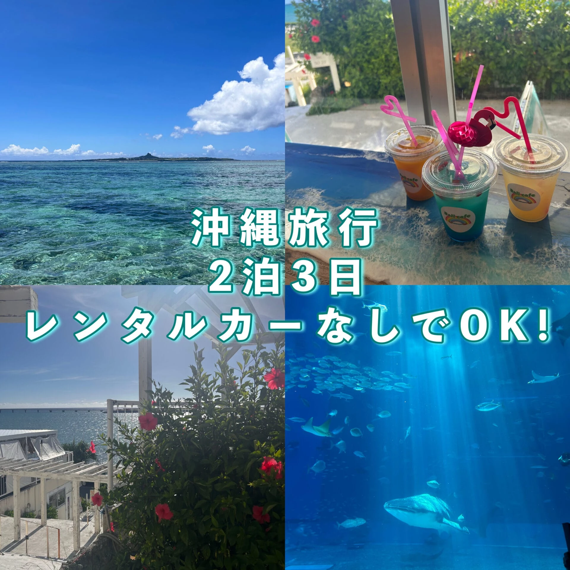 【沖縄旅行最終日】帰りの飛行機までのスケジュールと旅行費の総額も発表！   （DAY３）No.3
