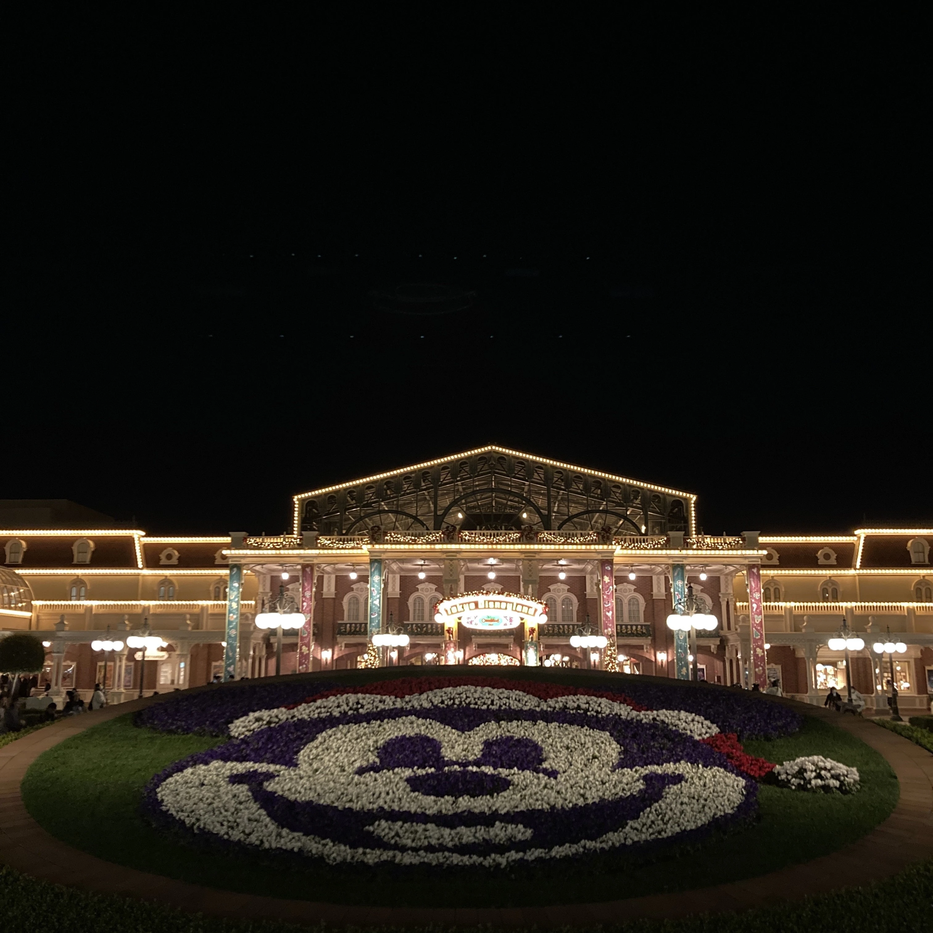 夜のクリスマスミッキーの植物花壇